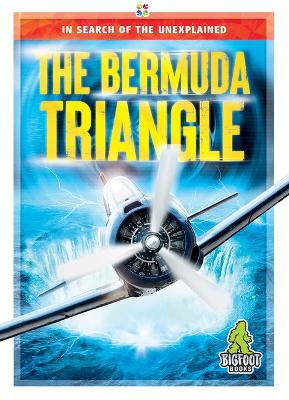 The Bermuda Triangle book