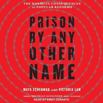 Prison by Any Other Name: The Harmful Consequences of Popular Reforms by Maya Schenwar