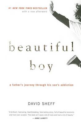 Beautiful Boy: A Father's Journey Through His Son's Addiction by David Sheff