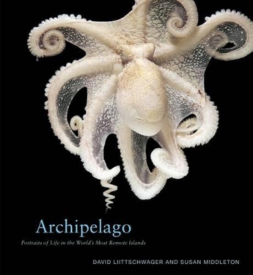 Archipelago book