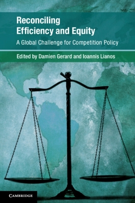 Reconciling Efficiency and Equity: A Global Challenge for Competition Policy book