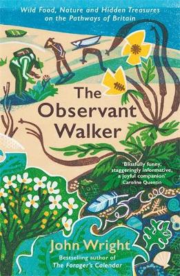 The Observant Walker: Wild Food, Nature and Hidden Treasures on the Pathways of Britain by John Wright