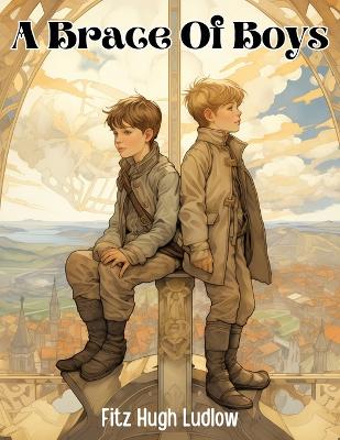 A Brace Of Boys By Fitz Hugh Ludlow book