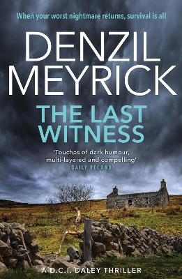 Last Witness book