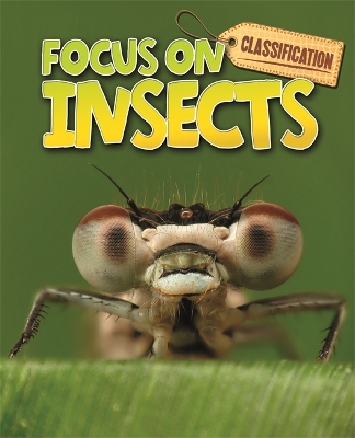 Classification: Focus on: Insects book