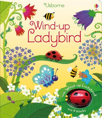 Wind-up Ladybird book