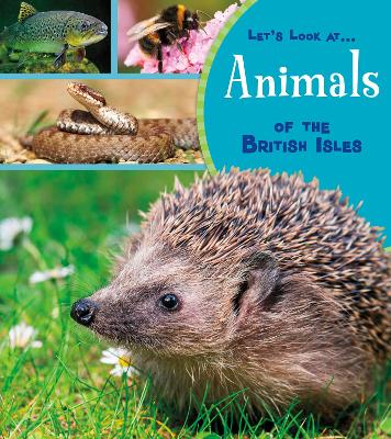 Animals of the British Isles by Lucy Beevor