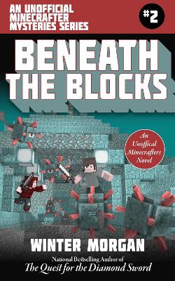 Beneath the Blocks book