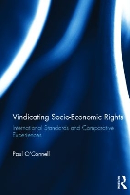 Vindicating Socio-Economic Rights book