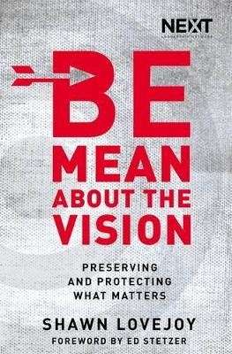 Be Mean About the Vision book