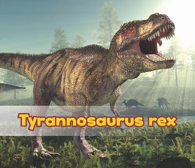 Tyrannosaurus Rex by Daniel Nunn
