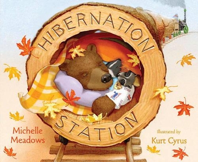 Hibernation Station book