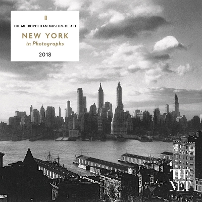 New York in Photographs 2018 Mini Wall Calendar book