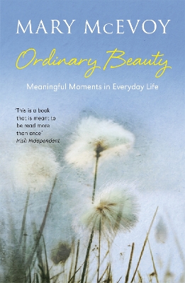 Ordinary Beauty book