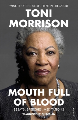 Mouth Full of Blood: Essays, Speeches, Meditations book