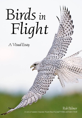 Birds In Flight: A Visual Essay book