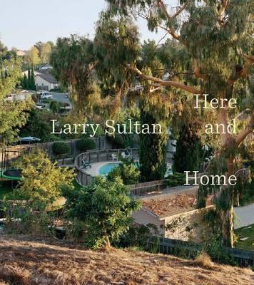 Larry Sultan book