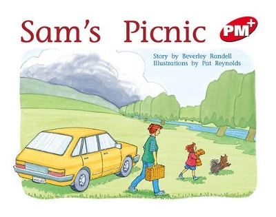 Sam's Picnic book