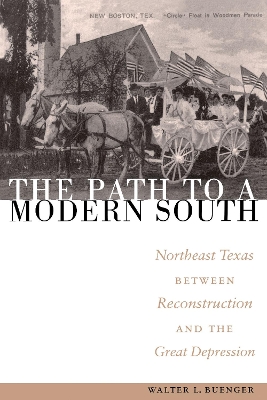 The Path to a Modern South book
