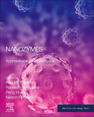 Nanozymes: Approachable Bio-applications book