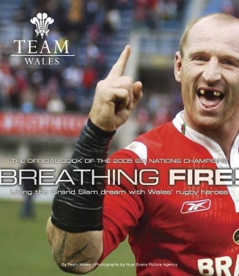 Breathing Fire book