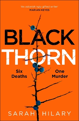 Black Thorn: A slow-burning, multi-layered mystery about families and their secrets and lies by Sarah Hilary