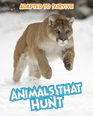 Adapted to Survive: Animals that Hunt book