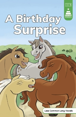 A Birthday Surprise book