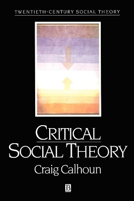 Critical Social Theory book