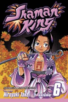 Shaman King, Vol. 6 book