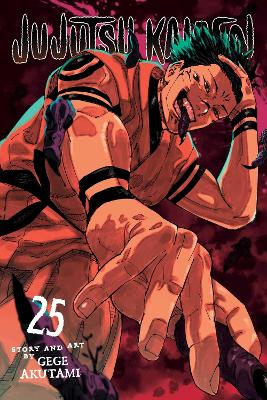 Jujutsu Kaisen, Vol. 25: Volume 25 book
