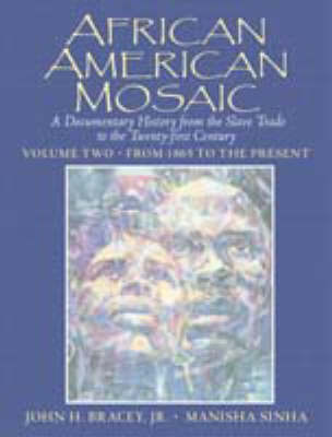 African American Mosaic by John H. Bracey, Jr.