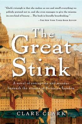 Great Stink book