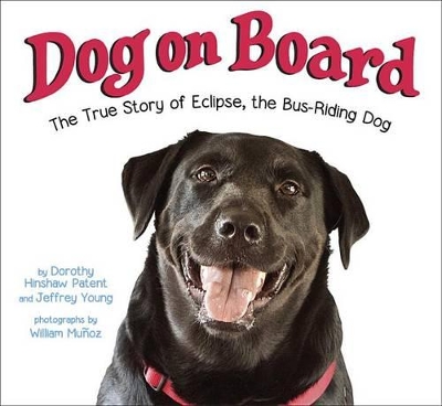 Dog On Board book