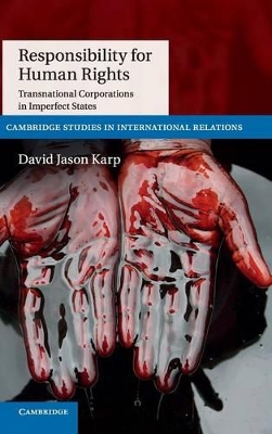 Responsibility for Human Rights by David Jason Karp