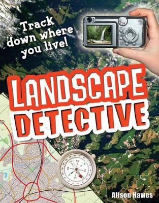 Landscape Detective: Age 7-8, average readers book
