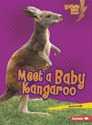 Meet a Baby Kangaroo book