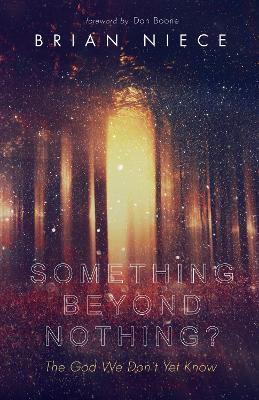 Something Beyond Nothing? book