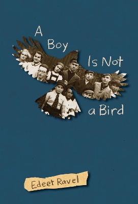 A Boy Is Not a Bird book