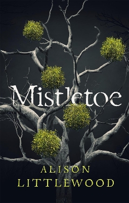 Mistletoe: 'The perfect read for frosty nights' HEAT by Alison Littlewood