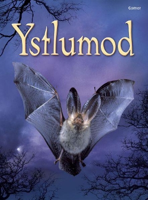Cyfres Dechrau Da: Ystlumod book