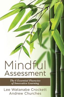 Mindful Assessment book