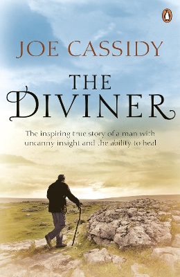 Diviner book