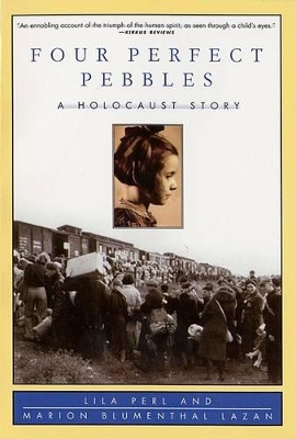 Four Perfect Pebbles book
