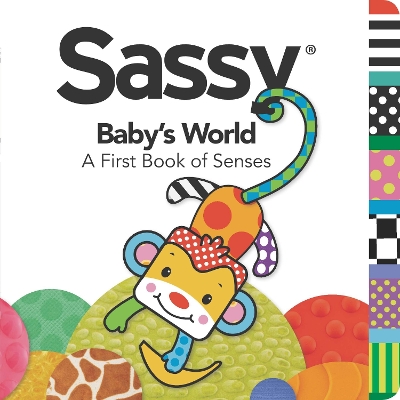 Baby's World: A First Book of Senses book