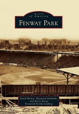 Fenway Park book