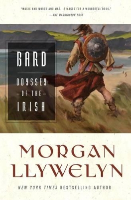 Bard: The Odyssey of the Irish book