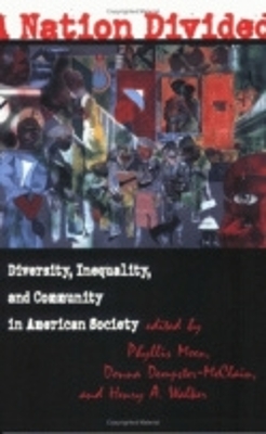 Nation Divided book