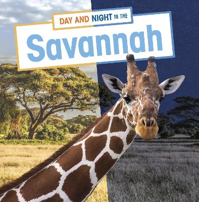 Day and Night in the Savannah by Mary Boone