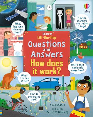 Lift-the-Flap Questions & Answers How Does it Work? book